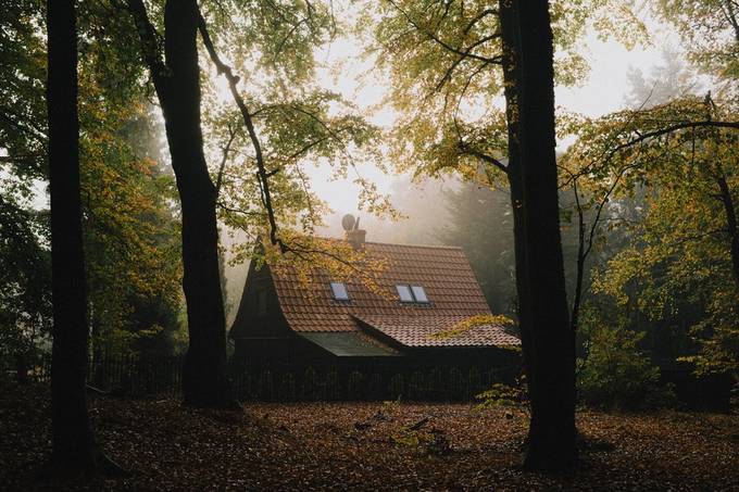 Blog post cover image