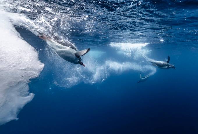 Blog post cover image