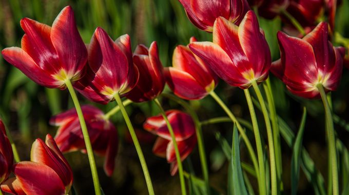 Blog post cover image