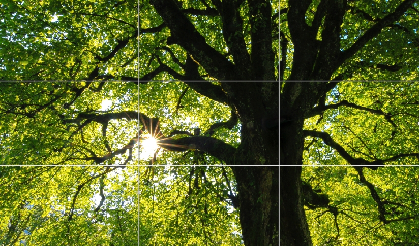 rule-of-thirds-examples